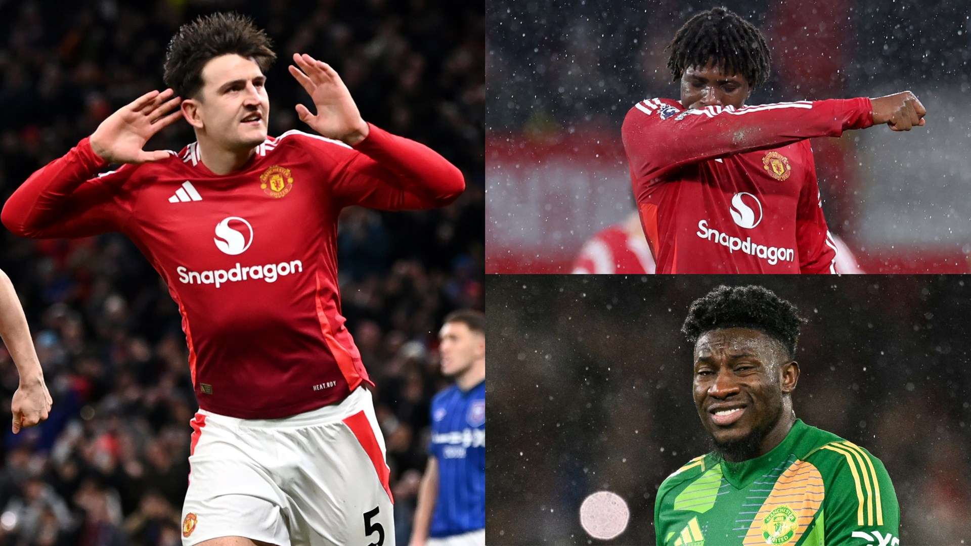 我们不仅看 我们不仅看